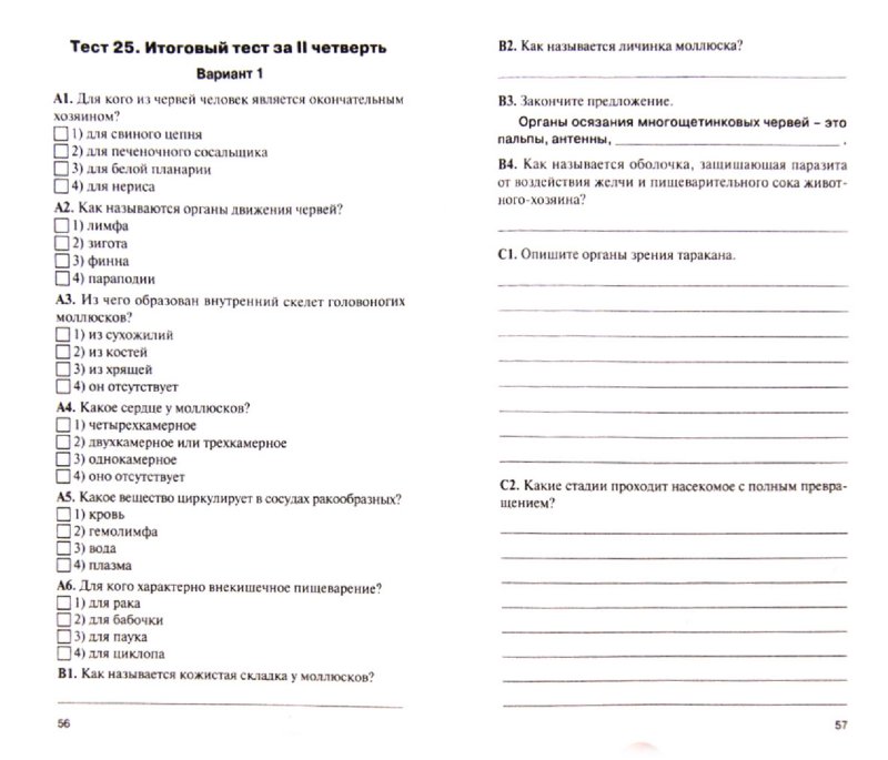 гдз по математике 5 класс контрольно-измерительные материалы ответы